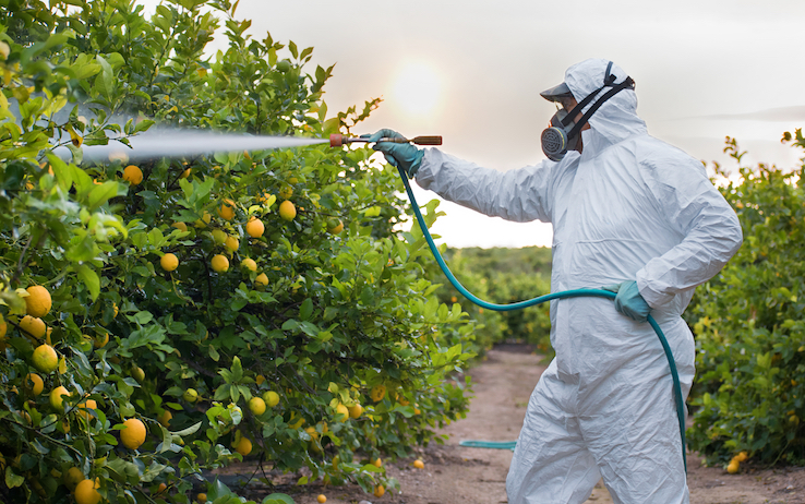 Stop ai pesticidi rinviato per la guerra