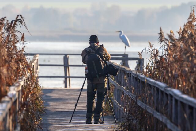birdwatching airone watch birder con fotocamera