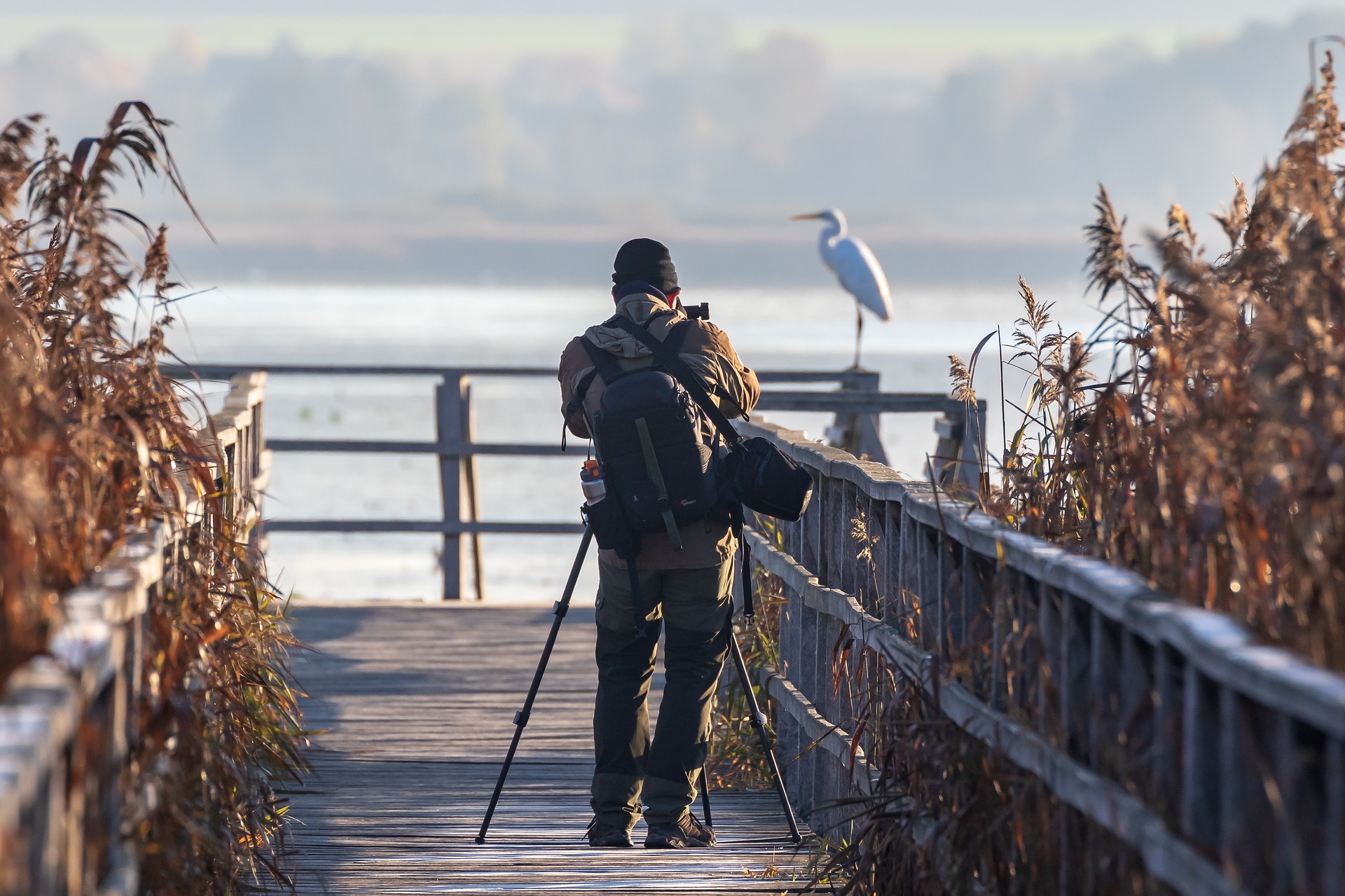 Birdwatching: come si fa e i 10 posti più belli in Italia