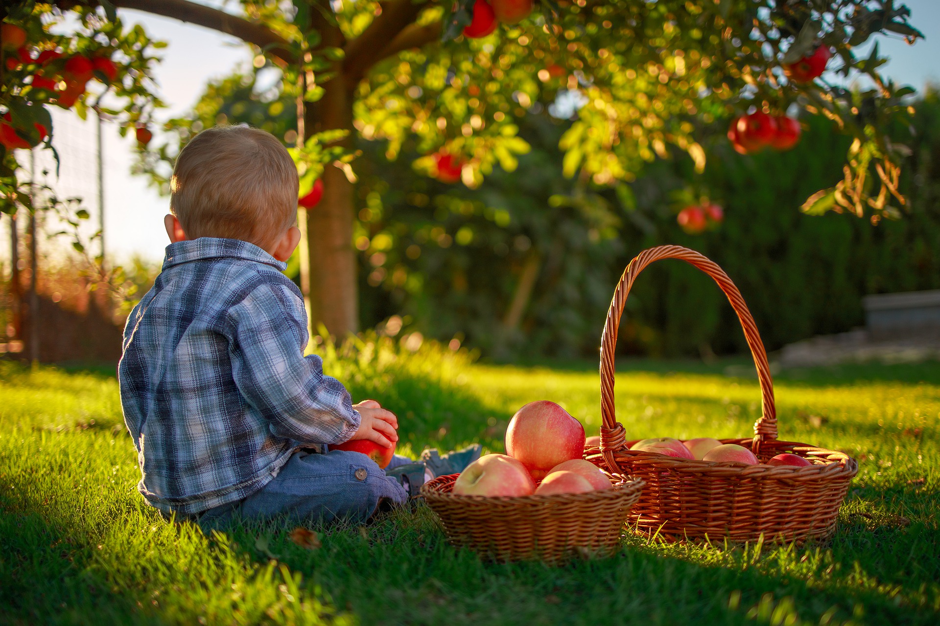 Idee per far mangiare la frutta ai bambini
