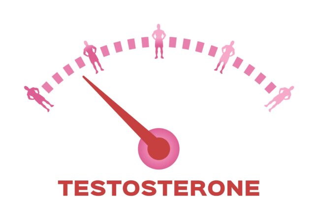 Come alzare il testosterone