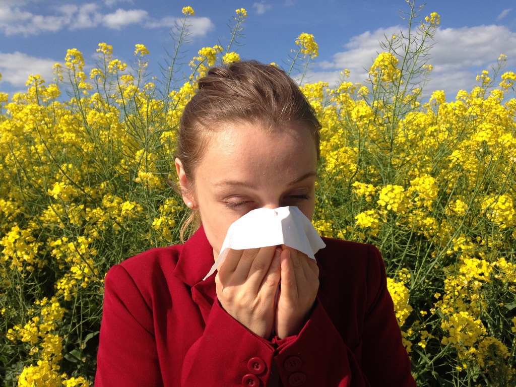 Raffreddore o allergia: come si distinguono?