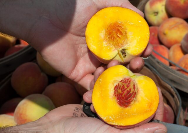 Che fare con i noccioli della frutta: 10 idee