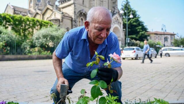 Mustapha: da solo cura i fiori di una piazza di Torino