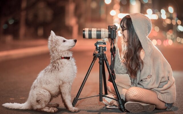 Come fotografare il cane
