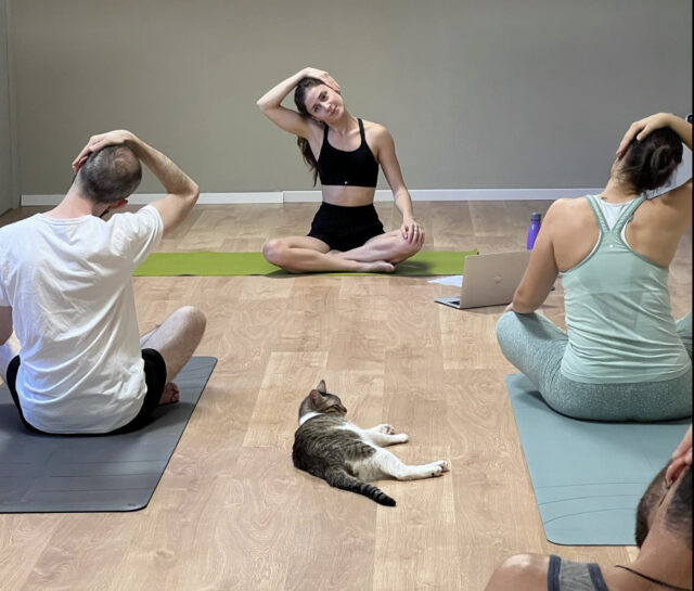 Eleonora e il centro yoga con i gatti