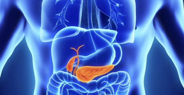 Pancreas: campanelli d’allarme per il tumore